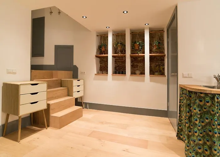 Saint Claire 民宿 阿姆斯特丹