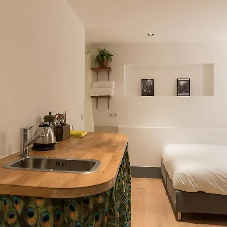 Homestay szállás Saint Claire Amszterdam