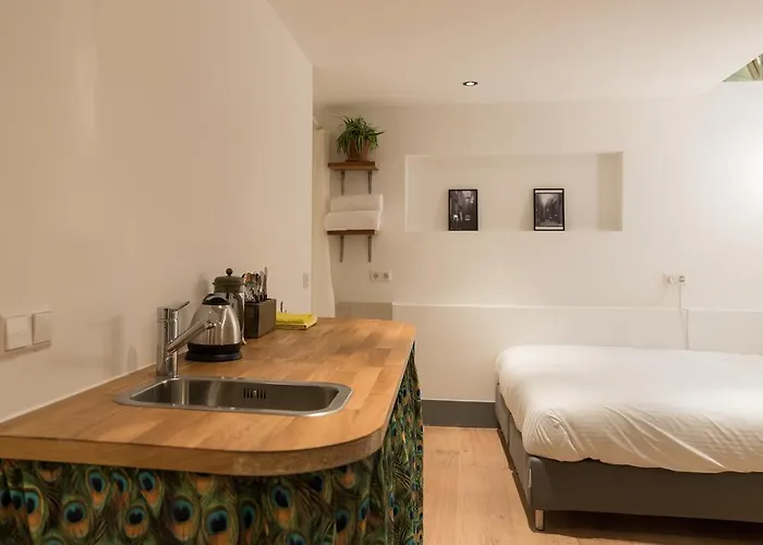 Séjour chez l'habitant Saint Claire Amsterdam